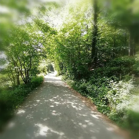 Wassersleben-gemuetliche Direkt Am Wasser * Harrislee